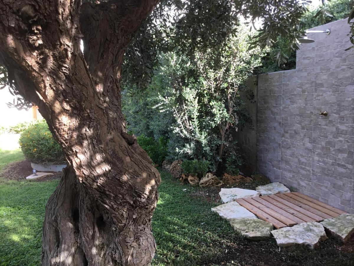 Birgi Holiday Home Marsala Bagian luar foto